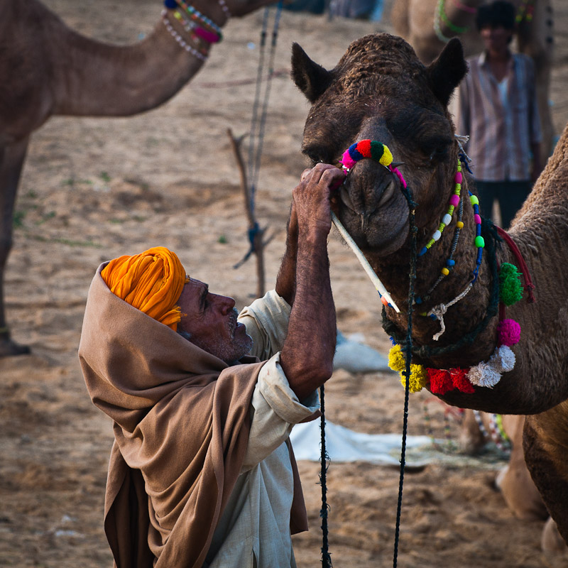 Laatste aanpassingen voor de verkoop, Pushkar Mela