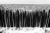 Bestandsnaam=London-2.jpg
Bestandsgrootte=156KiB
Afmetingen = 800x532
Datum toegevoegd = 17 feb 2009 London-2.jpg
