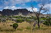 Bestandsnaam=Mada-070.jpg
Bestandsgrootte=319KiB
Afmetingen = 800x530
Datum toegevoegd = 19 jan 2013 Mada-070.jpg