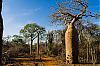 Bestandsnaam=Mada-076.jpg
Bestandsgrootte=387KiB
Afmetingen = 800x530
Datum toegevoegd = 19 jan 2013 Mada-076.jpg