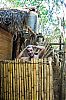 Bestandsnaam=Mada-103.jpg
Bestandsgrootte=414KiB
Afmetingen = 533x800
Datum toegevoegd = 19 jan 2013 Mada-103.jpg