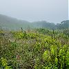 Bestandsnaam=Nica-062.jpg
Bestandsgrootte=754KiB
Afmetingen = 1000x1000
Datum toegevoegd = 19 apr 2017 Nica-062.jpg