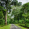 Bestandsnaam=Nica-196.jpg
Bestandsgrootte=1107KiB
Afmetingen = 1000x1000
Datum toegevoegd = 19 apr 2017 Nica-196.jpg