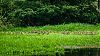 Bestandsnaam=Nica-204.jpg
Bestandsgrootte=680KiB
Afmetingen = 1333x750
Datum toegevoegd = 19 apr 2017 Nica-204.jpg