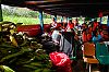 Bestandsnaam=Nica-267.jpg
Bestandsgrootte=601KiB
Afmetingen = 1226x815
Datum toegevoegd = 19 apr 2017 Nica-267.jpg