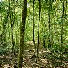 Bestandsnaam=Nica-275.jpg
Bestandsgrootte=1163KiB
Afmetingen = 1000x1000
Datum toegevoegd = 19 apr 2017 Nica-275.jpg
