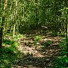 Bestandsnaam=Nica-276.jpg
Bestandsgrootte=1035KiB
Afmetingen = 1000x1000
Datum toegevoegd = 19 apr 2017 Nica-276.jpg