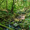 Bestandsnaam=Nica-277.jpg
Bestandsgrootte=1016KiB
Afmetingen = 1000x1000
Datum toegevoegd = 19 apr 2017 Nica-277.jpg