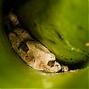 Bestandsnaam=Nica-280.jpg
Bestandsgrootte=323KiB
Afmetingen = 1000x1000
Datum toegevoegd = 19 apr 2017 Nica-280.jpg