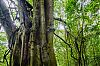 Bestandsnaam=Nica-282.jpg
Bestandsgrootte=854KiB
Afmetingen = 1224x816
Datum toegevoegd = 19 apr 2017 Nica-282.jpg