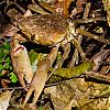 Bestandsnaam=Nica-284.jpg
Bestandsgrootte=656KiB
Afmetingen = 1000x1000
Datum toegevoegd = 19 apr 2017 Nica-284.jpg