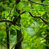 Bestandsnaam=Nica-285.jpg
Bestandsgrootte=553KiB
Afmetingen = 1000x1000
Datum toegevoegd = 19 apr 2017 Nica-285.jpg