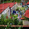 Bestandsnaam=Nica-290.jpg
Bestandsgrootte=845KiB
Afmetingen = 1000x1000
Datum toegevoegd = 19 apr 2017 Nica-290.jpg