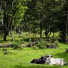 Bestandsnaam=Nica-327.jpg
Bestandsgrootte=966KiB
Afmetingen = 1000x1000
Datum toegevoegd = 19 apr 2017 Nica-327.jpg