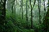 Bestandsnaam=Nica-328.jpg
Bestandsgrootte=758KiB
Afmetingen = 1226x815
Datum toegevoegd = 19 apr 2017 Nica-328.jpg