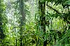 Bestandsnaam=Nica-329.jpg
Bestandsgrootte=798KiB
Afmetingen = 1226x815
Datum toegevoegd = 19 apr 2017 Nica-329.jpg