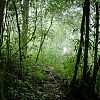 Bestandsnaam=Nica-331.jpg
Bestandsgrootte=834KiB
Afmetingen = 1000x1000
Datum toegevoegd = 19 apr 2017 Nica-331.jpg