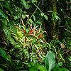 Bestandsnaam=Nica-332.jpg
Bestandsgrootte=761KiB
Afmetingen = 1000x1000
Datum toegevoegd = 19 apr 2017 Nica-332.jpg
