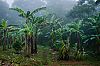 Bestandsnaam=Nica-336.jpg
Bestandsgrootte=642KiB
Afmetingen = 1226x815
Datum toegevoegd = 19 apr 2017 Nica-336.jpg