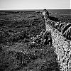 Bestandsnaam=Ornkey-049.jpg
Bestandsgrootte=430KiB
Afmetingen = 800x800
Datum toegevoegd = 24 mei 2014 Ornkey-049.jpg