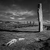 Bestandsnaam=Ornkey-051.jpg
Bestandsgrootte=296KiB
Afmetingen = 800x800
Datum toegevoegd = 24 mei 2014 Ornkey-051.jpg