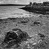 Bestandsnaam=Ornkey-062.jpg
Bestandsgrootte=465KiB
Afmetingen = 800x800
Datum toegevoegd = 24 mei 2014 Ornkey-062.jpg