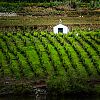 Bestandsnaam=Porto-021.jpg
Bestandsgrootte=463KiB
Afmetingen = 800x800
Datum toegevoegd = 29 aug 2016 Porto-021.jpg