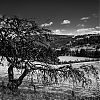 Bestandsnaam=Speyside-038.jpg
Bestandsgrootte=416KiB
Afmetingen = 800x800
Datum toegevoegd = 23 okt 2013 Speyside-038.jpg