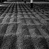 Bestandsnaam=Speyside-041.jpg
Bestandsgrootte=498KiB
Afmetingen = 800x800
Datum toegevoegd = 23 okt 2013 Speyside-041.jpg