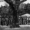 Bestandsnaam=Speyside-048.jpg
Bestandsgrootte=445KiB
Afmetingen = 800x800
Datum toegevoegd = 23 okt 2013 Speyside-048.jpg