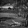 Bestandsnaam=Speyside-059.jpg
Bestandsgrootte=447KiB
Afmetingen = 800x800
Datum toegevoegd = 23 okt 2013 Speyside-059.jpg
