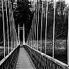 Bestandsnaam=Speyside-077.jpg
Bestandsgrootte=410KiB
Afmetingen = 800x800
Datum toegevoegd = 23 okt 2013 Speyside-077.jpg