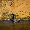 Bestandsnaam=ZA-033.jpg
Bestandsgrootte=817KiB
Afmetingen = 1000x1000
Datum toegevoegd = 03 jan 2016 ZA-033.jpg