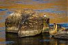 Bestandsnaam=ZA-034.jpg
Bestandsgrootte=672KiB
Afmetingen = 1226x815
Datum toegevoegd = 03 jan 2016 ZA-034.jpg