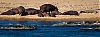 Bestandsnaam=ZA-063.jpg
Bestandsgrootte=602KiB
Afmetingen = 1632x612
Datum toegevoegd = 03 jan 2016 ZA-063.jpg